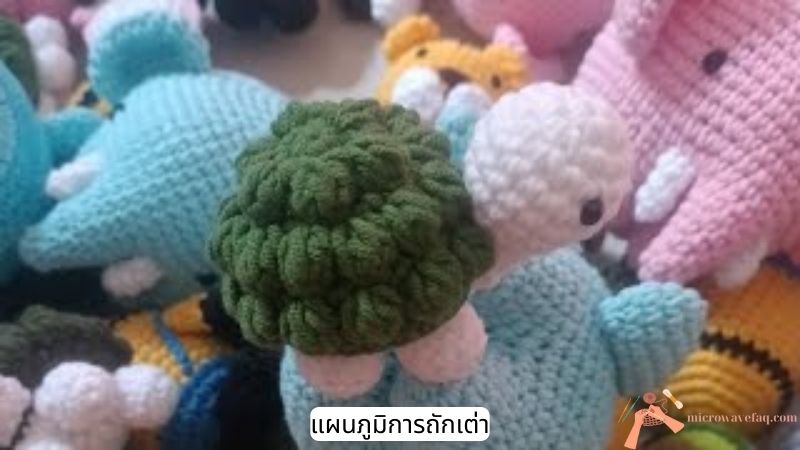 แผนภูมิการถักเต่า